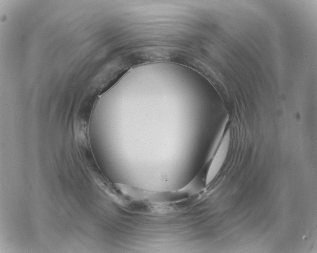 X0000070200141200606161626