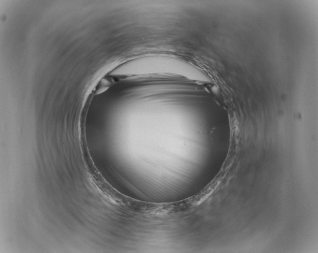 X0000070200148200606161625