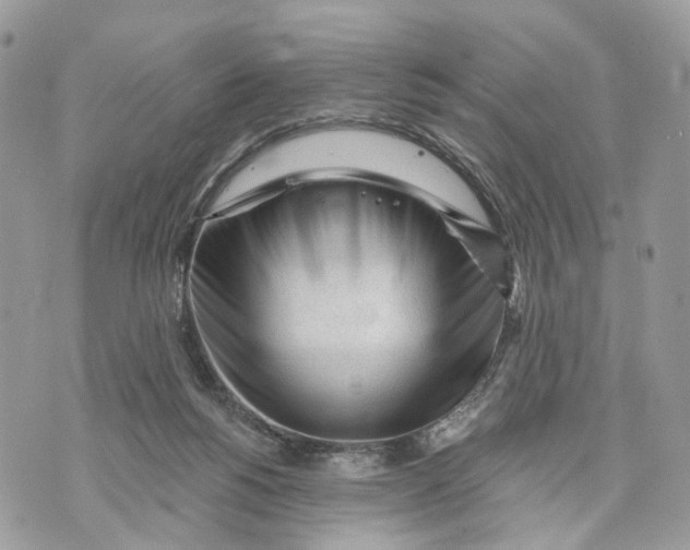 X0000070200168200606161625