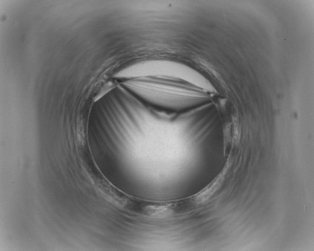 X0000070200170200606161625