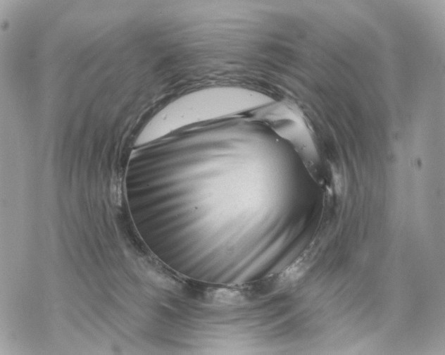 X0000070200180200606161625