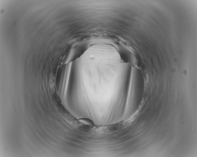X0000070200186200606161625