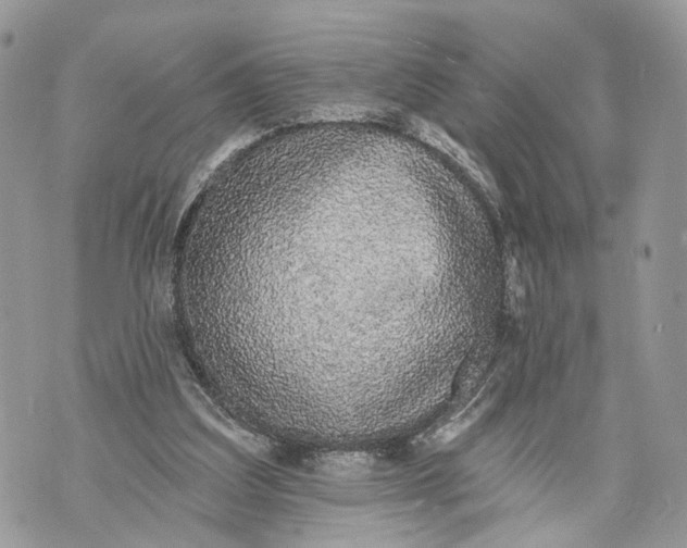 X0000070200203200606161625