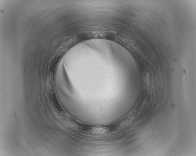 X0000070200218200606161624