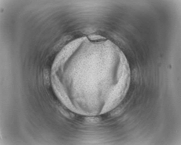 X0000070200234200606161624
