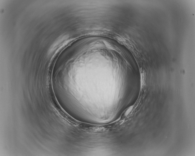 X0000070200243200606161623