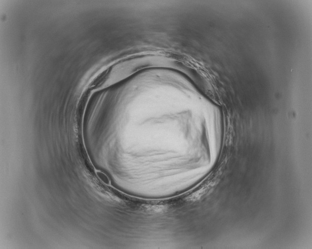 X0000070200247200606161623