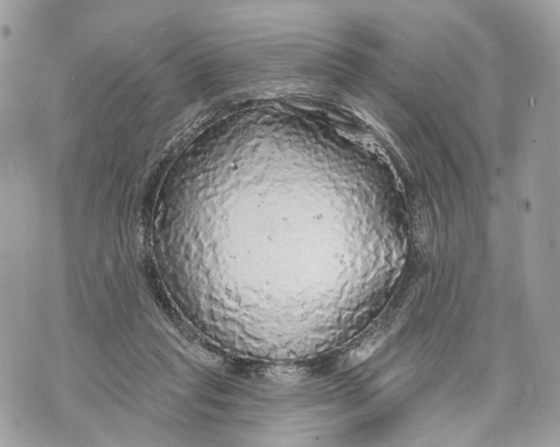 X0000070200261200606161623
