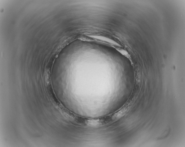 X0000070200273200606161624