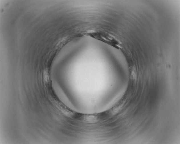X0000070200287200606161624