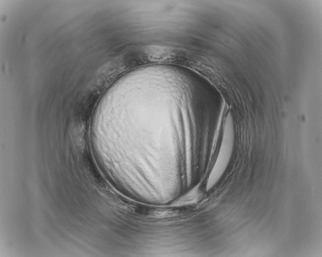 X0000070200319200606161623