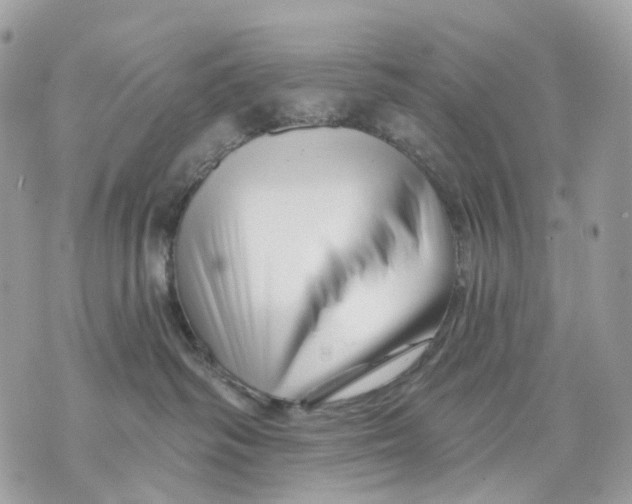 X0000070200334200606161622
