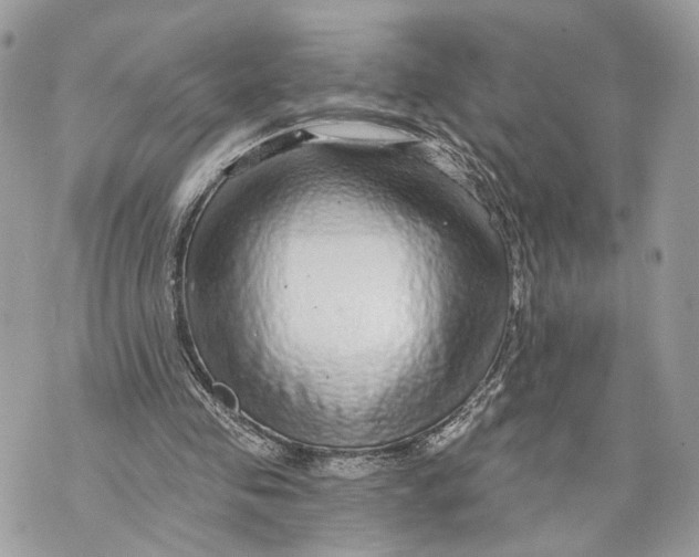X0000070200341200606161622