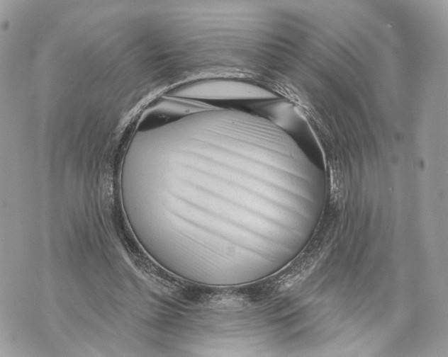 X0000070200348200606161622