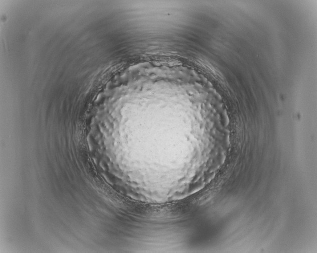 X0000070200361200606161622