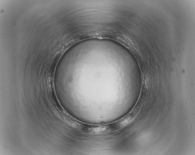 X0000070200366200606161622
