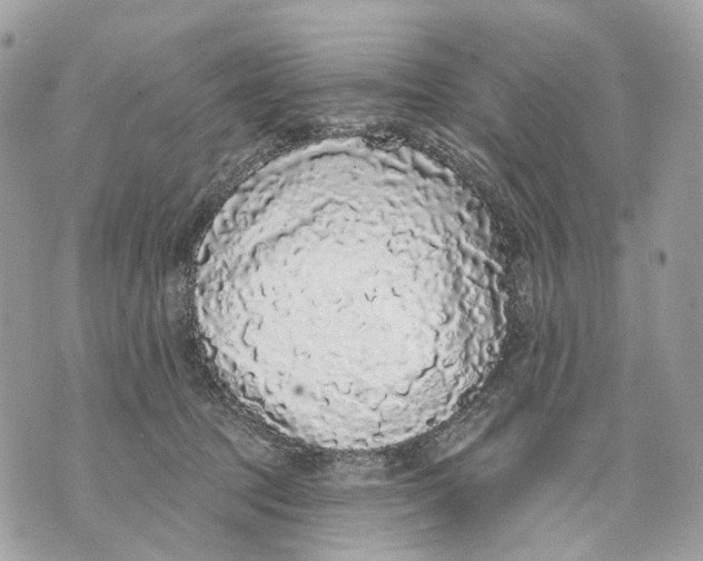 X0000070200369200606161622