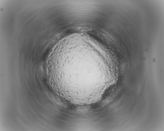 X0000070200373200606161622