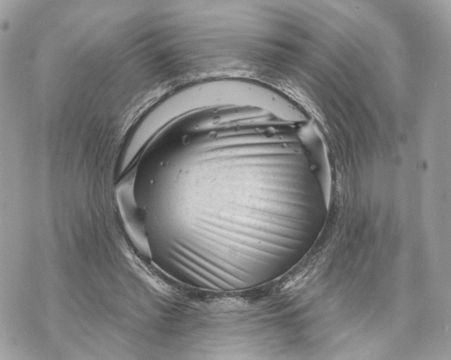 X0000070200397200606161621