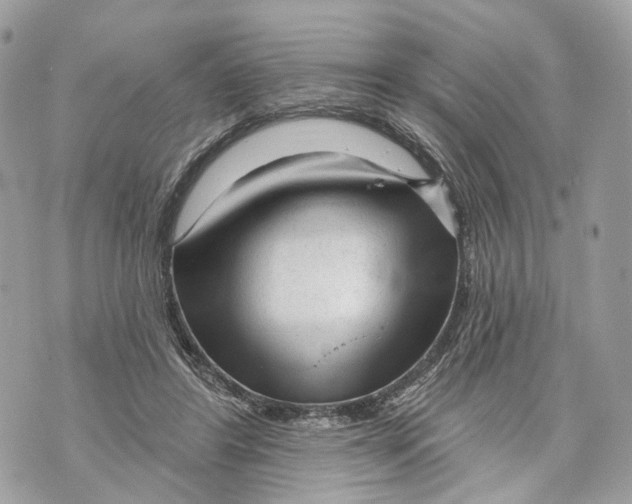 X0000070200404200606161621