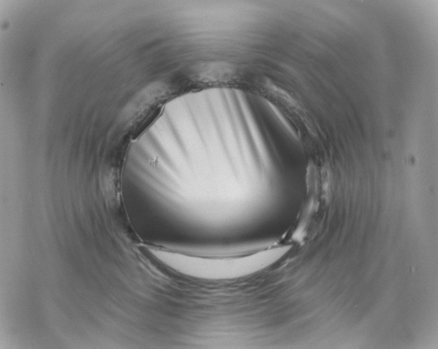 X0000070200428200606161621
