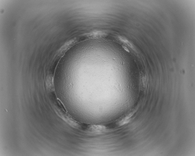 X0000070200429200606161621