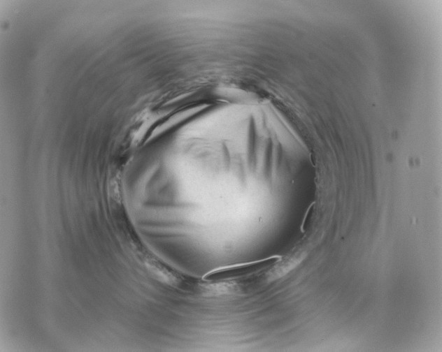X0000070200432200606161621