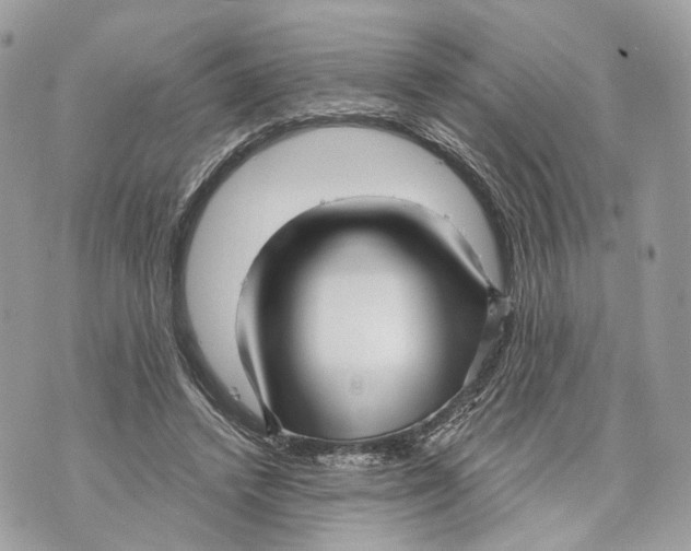 X0000070200448200606161620