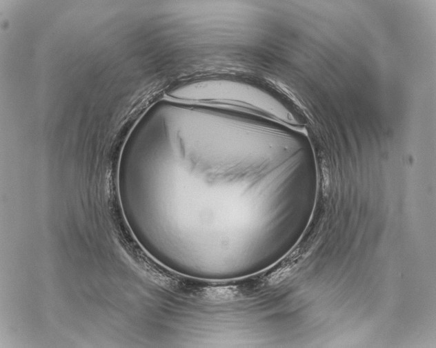 X0000070200451200606161620