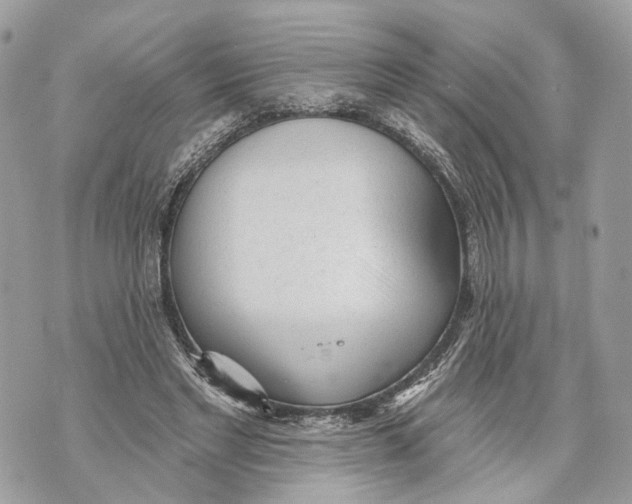 X0000070200493200606161620
