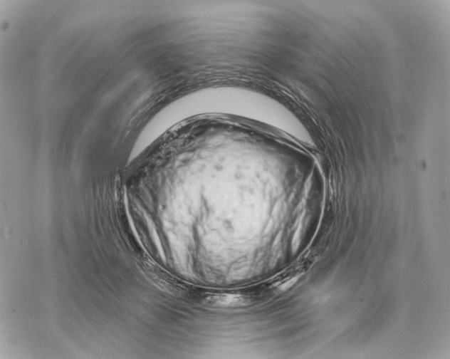 X0000070200507200606161619