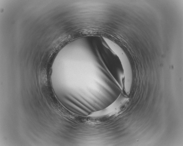 X0000070200508200606161619