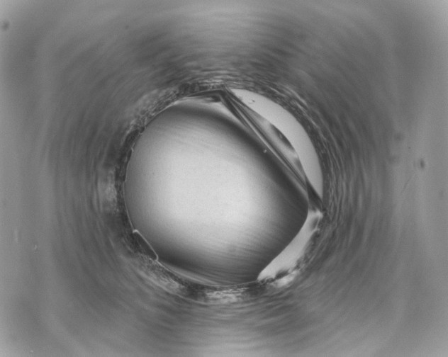 X0000070200516200606161619