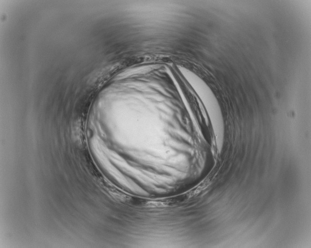 X0000070200519200606161619