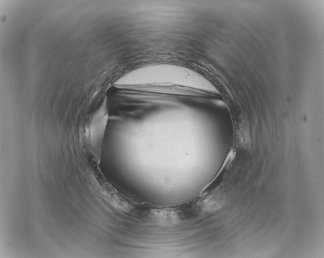 X0000070200520200606161619