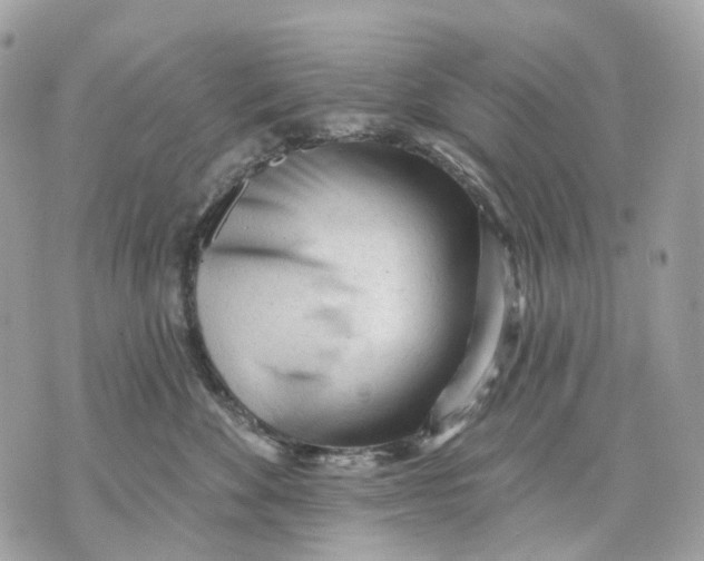 X0000070200524200606161619