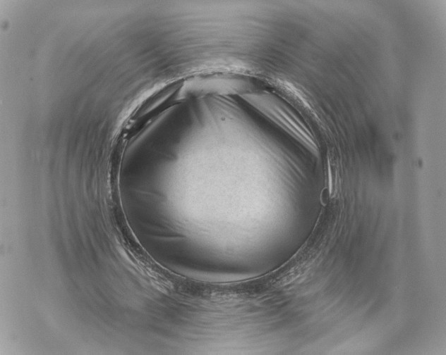 X0000070200531200606161618