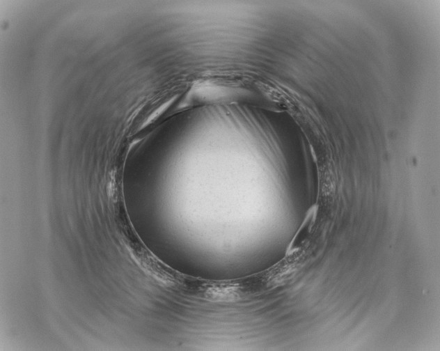 X0000070200560200606161619