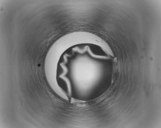 X0000070200570200606161619