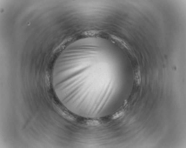 X0000070200572200606161619