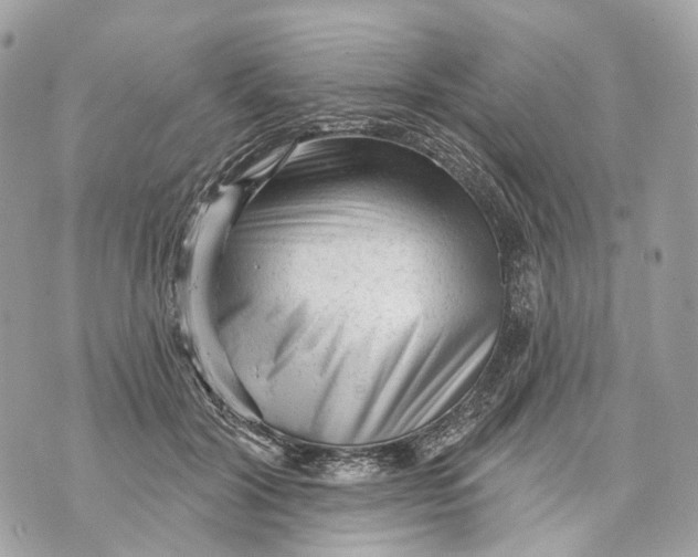 X0000070200604200606161618