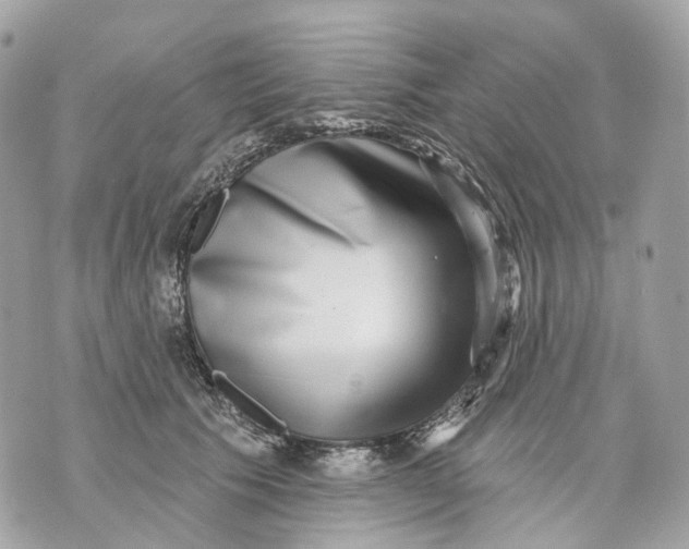 X0000070200609200606161618