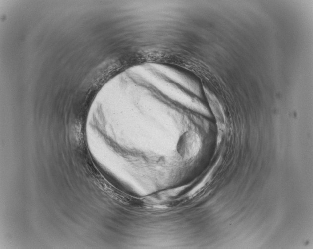 X0000070200610200606161618