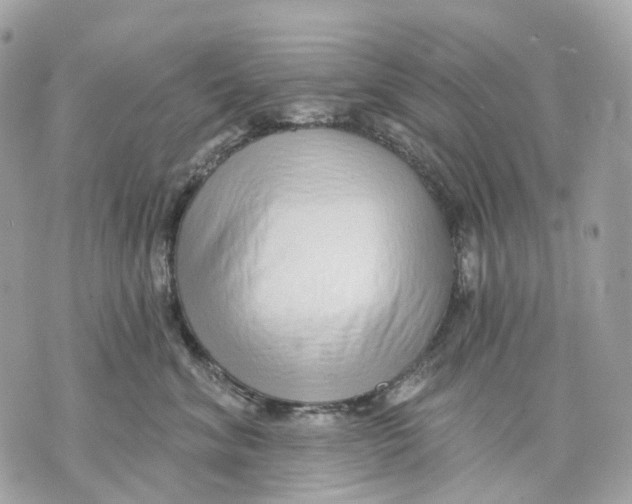X0000070200620200606161618