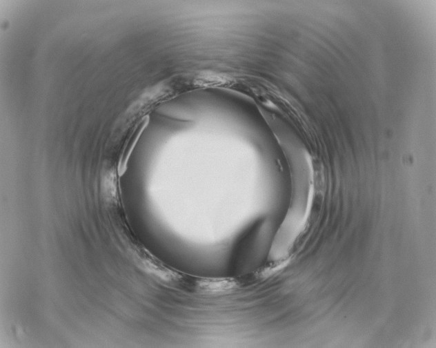 X0000070200621200606161618