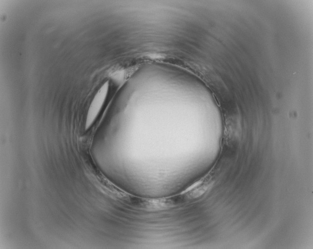 X0000070200623200606161618