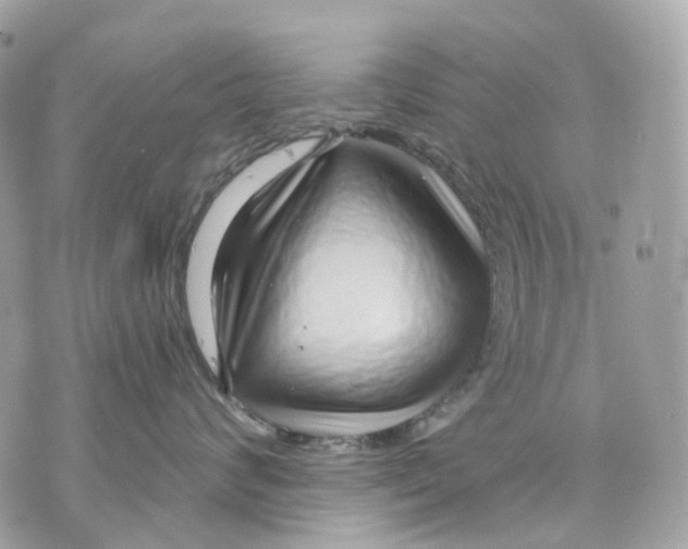 X0000070200624200606161618