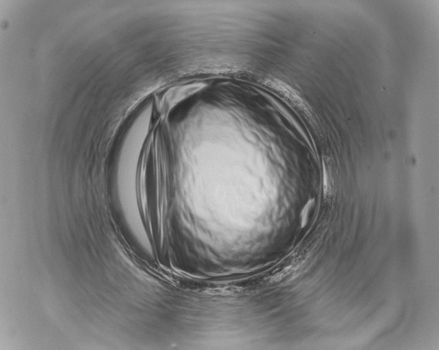 X0000070200627200606161617
