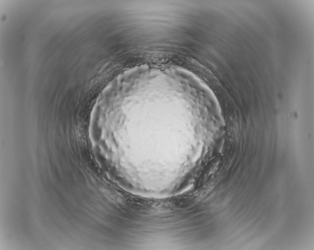 X0000070200663200606161617