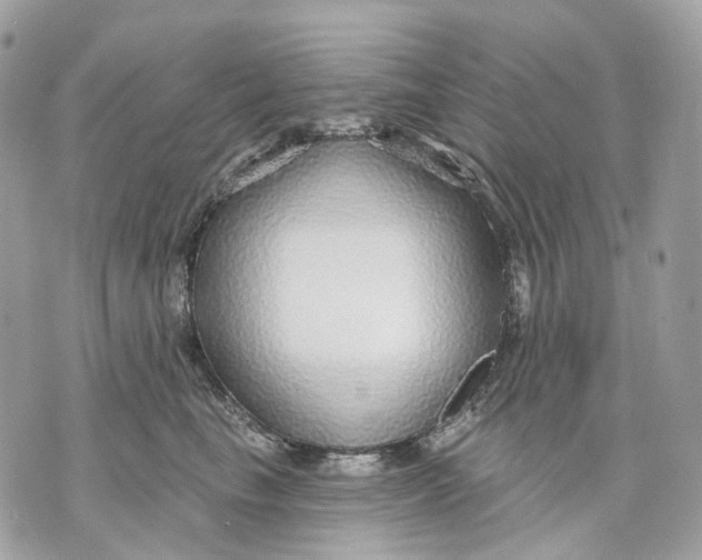 X0000070200665200606161617